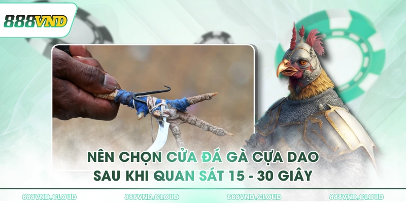 Đá gà cựa dao & Chiến thuật vào kèo từ cao thủ 888VND 3 Nên chọn cửa đá gà cựa dao sau khi quan sát 15 - 30 giây